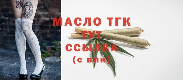 молекула духа Заволжье