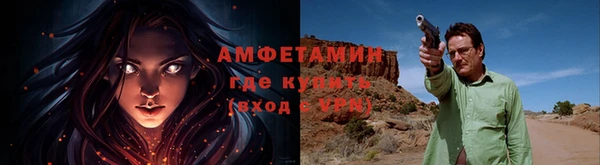 молекула духа Заволжье