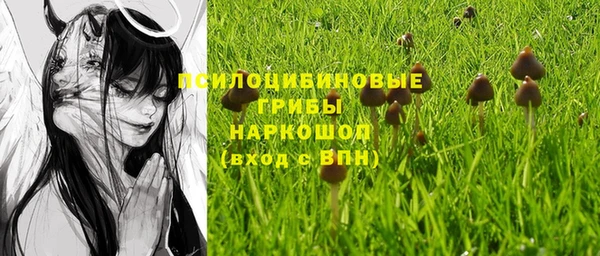 крисы Заволжск