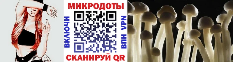 Псилоцибиновые грибы прущие грибы  Купить  Томск 